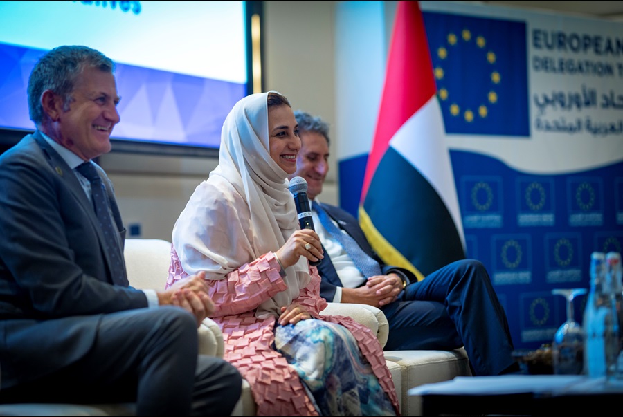 11th IRENA Renewables Talk picture 5