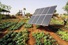 SolarPanel