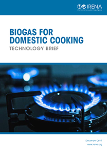 Biogas For Domestic Cooking Technology Brief