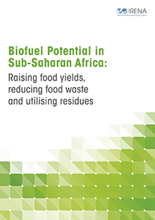 Biofuels potential in Sub-Saharan Africa