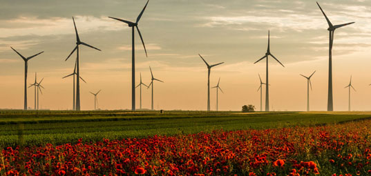 Coalition for Action