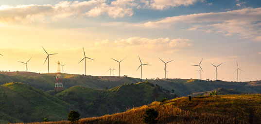 Flexibility-Assessments