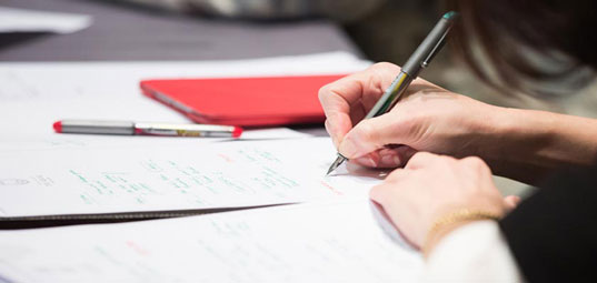 Parliamentary network