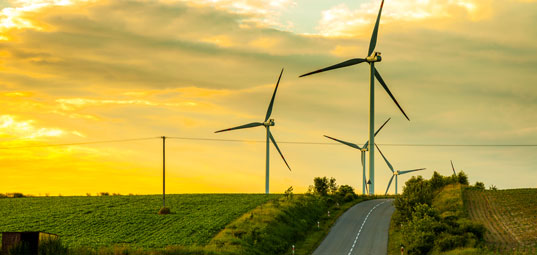 Private sector partnerships