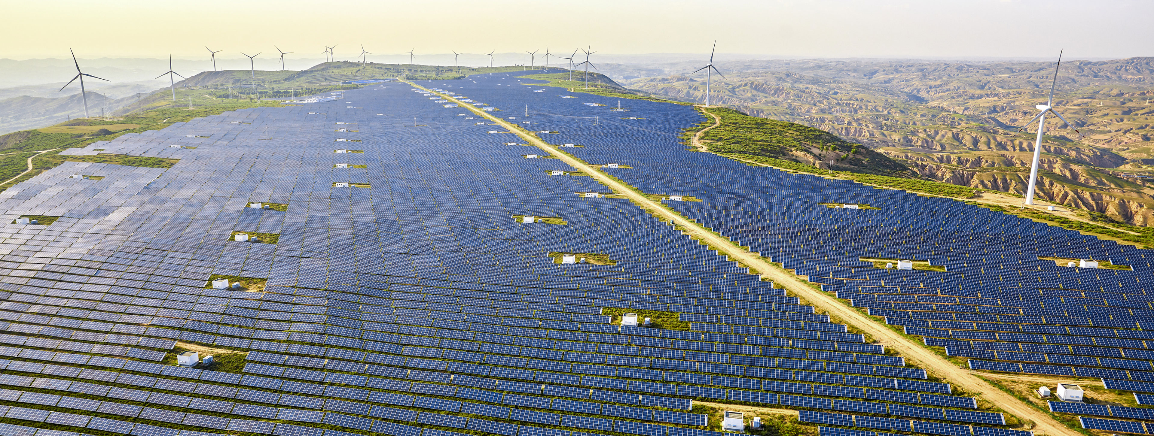 Project Facilitation