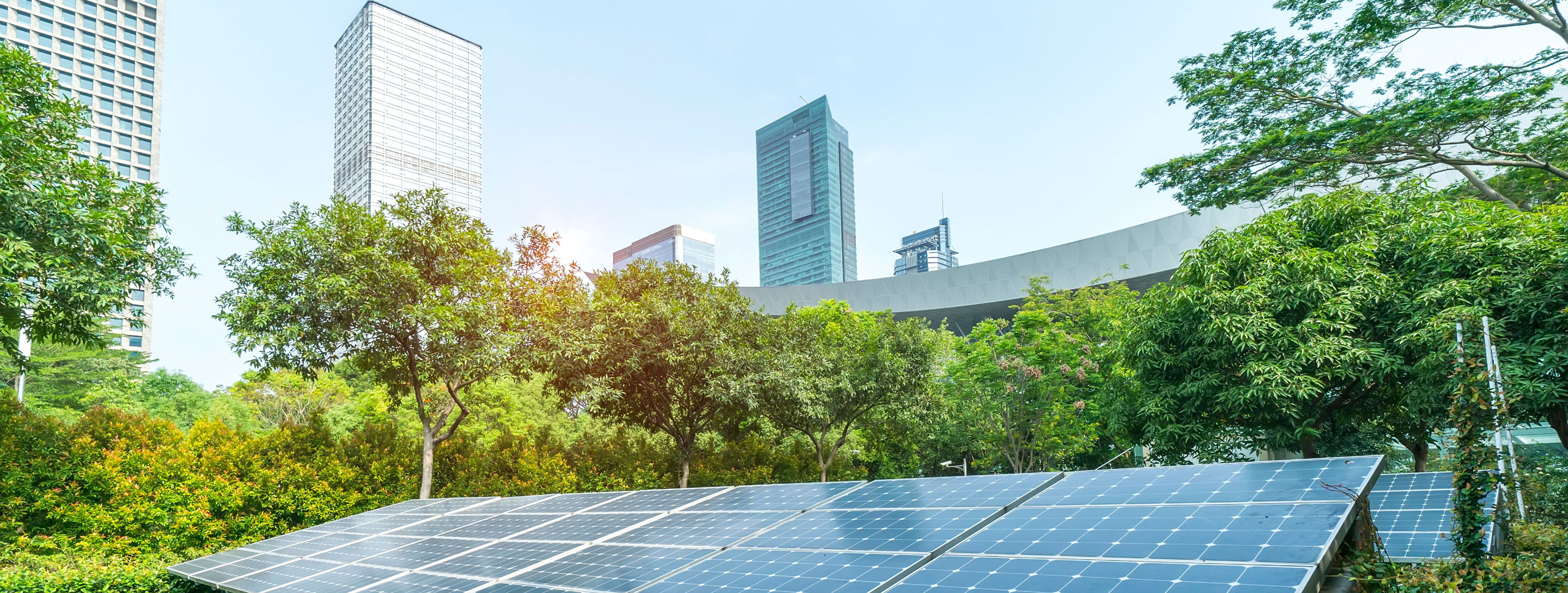 Buildings and cities