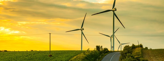 Private sector partnerships