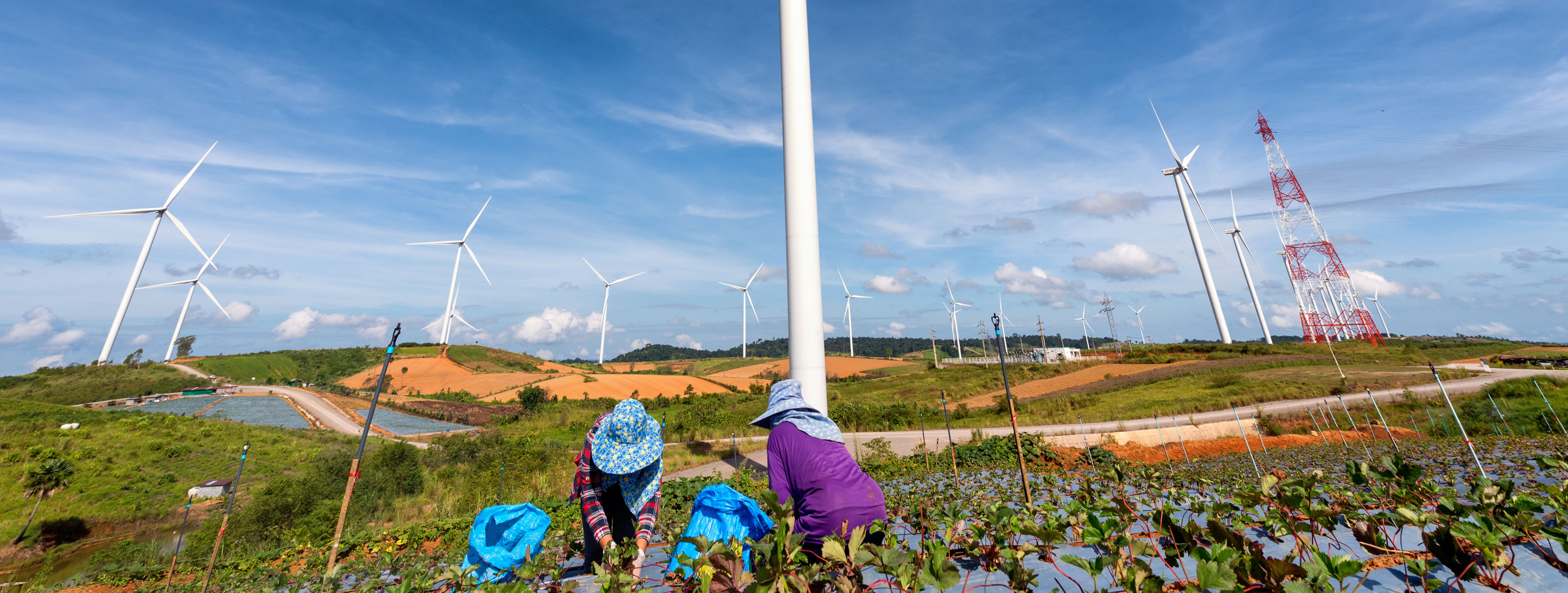 Macroeconomic benefits