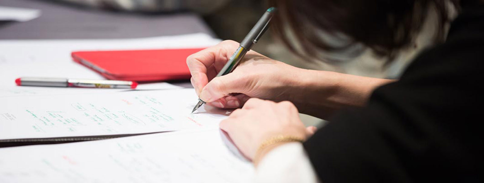 Parliamentary engagement